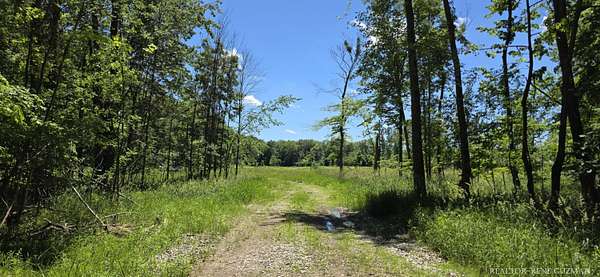 19.4 Acres of Recreational Land for Sale in Cedar Springs, Michigan