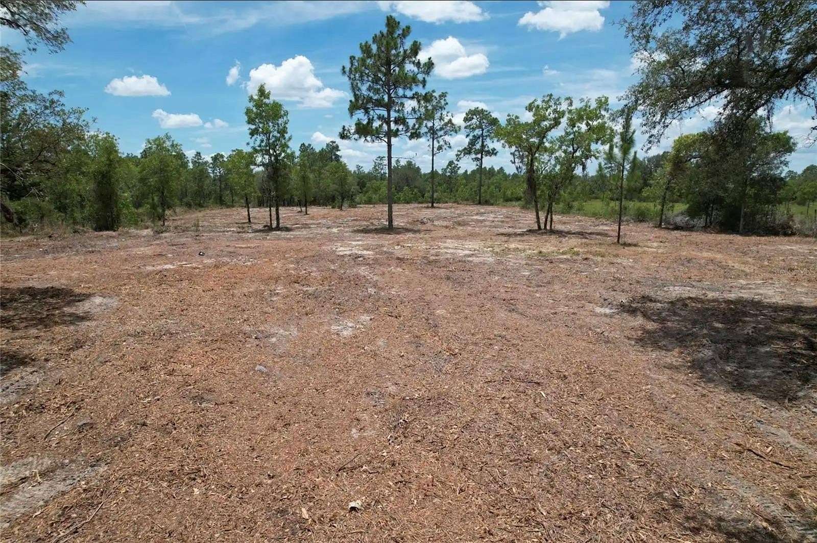 2.5 Acres of Land for Sale in Bronson, Florida
