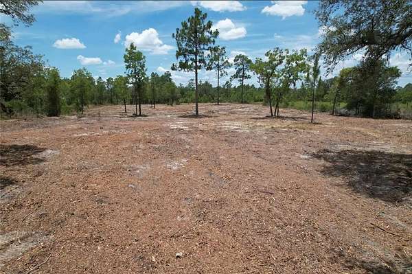 2.5 Acres of Land for Sale in Bronson, Florida