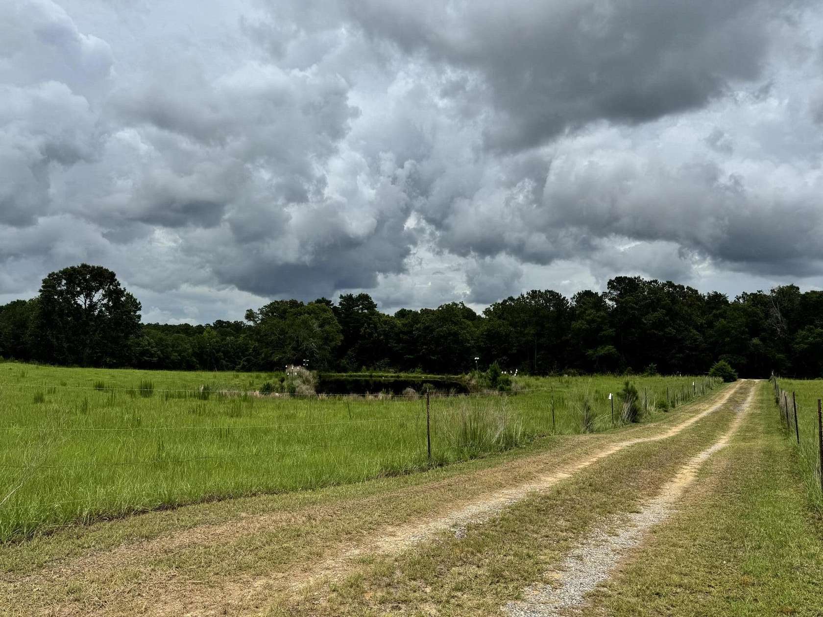 42 Acres of Land for Sale in Florala, Alabama
