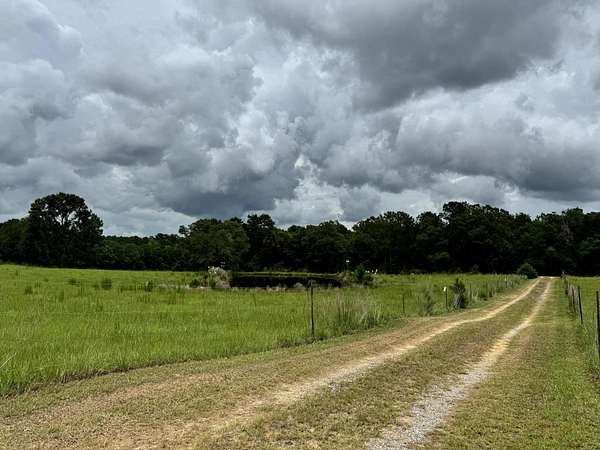 42 Acres of Land for Sale in Florala, Alabama