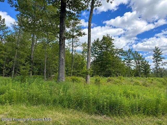 210 Acres of Recreational & Residential Land for Sale in Clifton Township, Pennsylvania