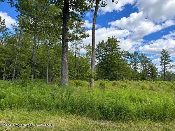 210 Acres of Recreational & Residential Land for Sale in Clifton Township, Pennsylvania