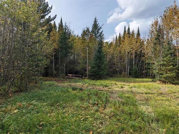 37 Acres of Recreational Land for Sale in Littlefork, Minnesota