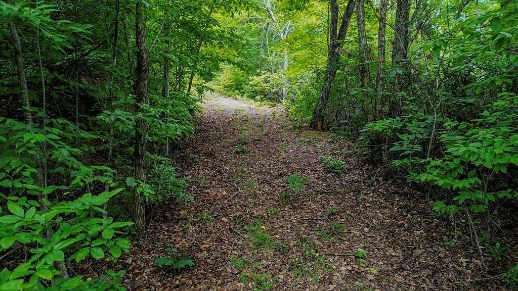 2.65 Acres of Residential Land for Sale in Franklin, North Carolina