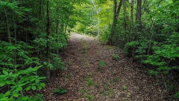2.65 Acres of Residential Land for Sale in Franklin, North Carolina