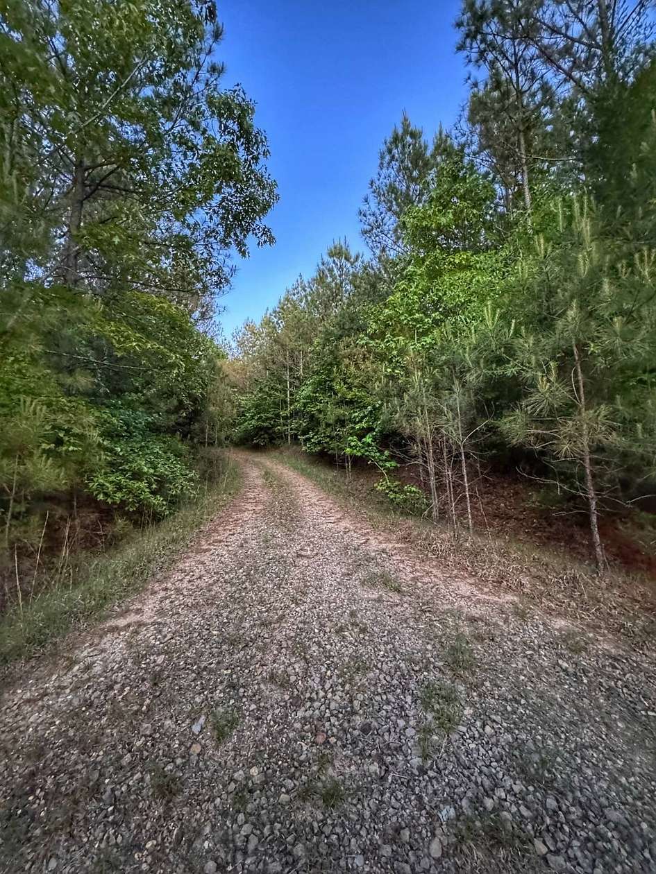 8.15 Acres of Residential Land for Sale in Bexar, Alabama