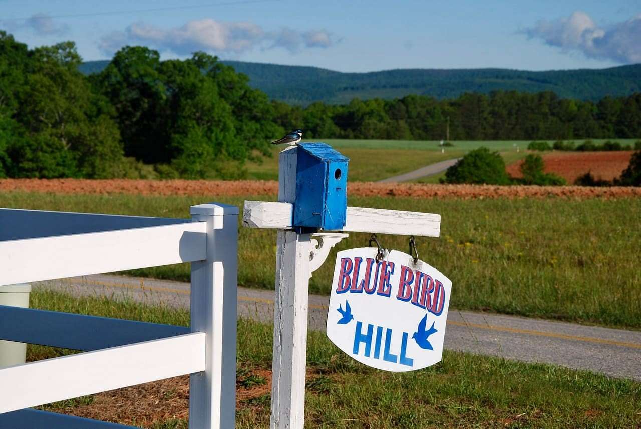 156 Acres of Recreational Land with Home for Sale in Callands, Virginia