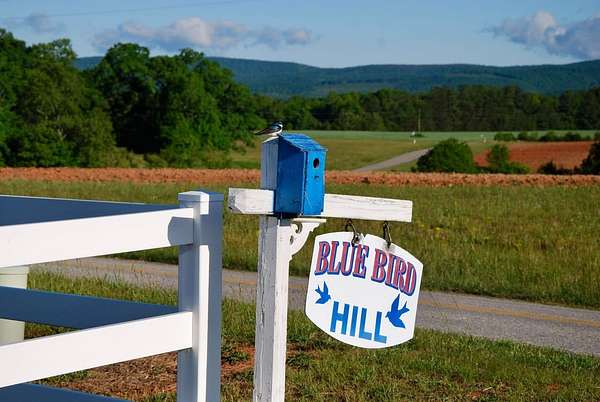 156 Acres of Recreational Land with Home for Sale in Callands, Virginia