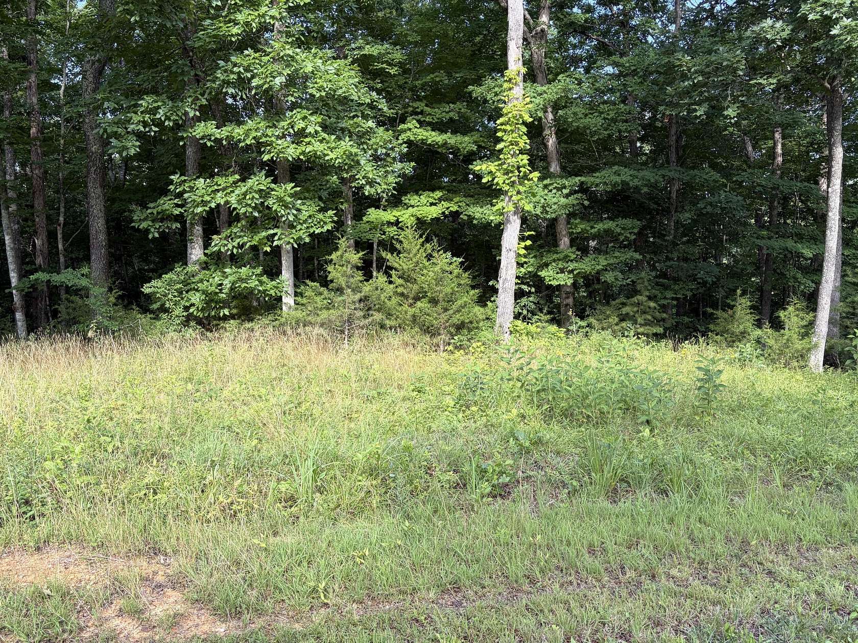3.8 Acres of Residential Land for Sale in Monticello, Kentucky