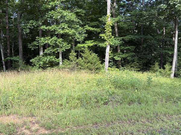 3.8 Acres of Residential Land for Sale in Monticello, Kentucky