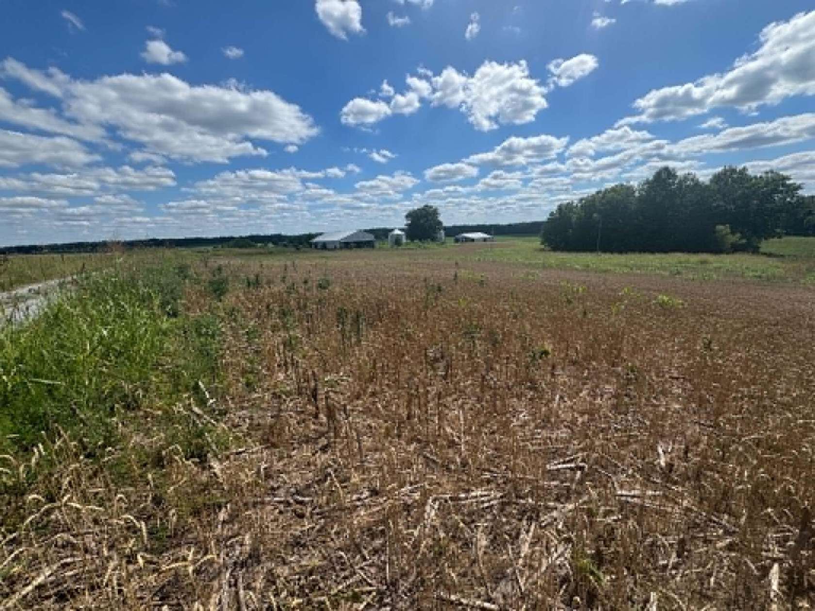 4.56 Acres of Residential Land for Sale in Columbia, Kentucky