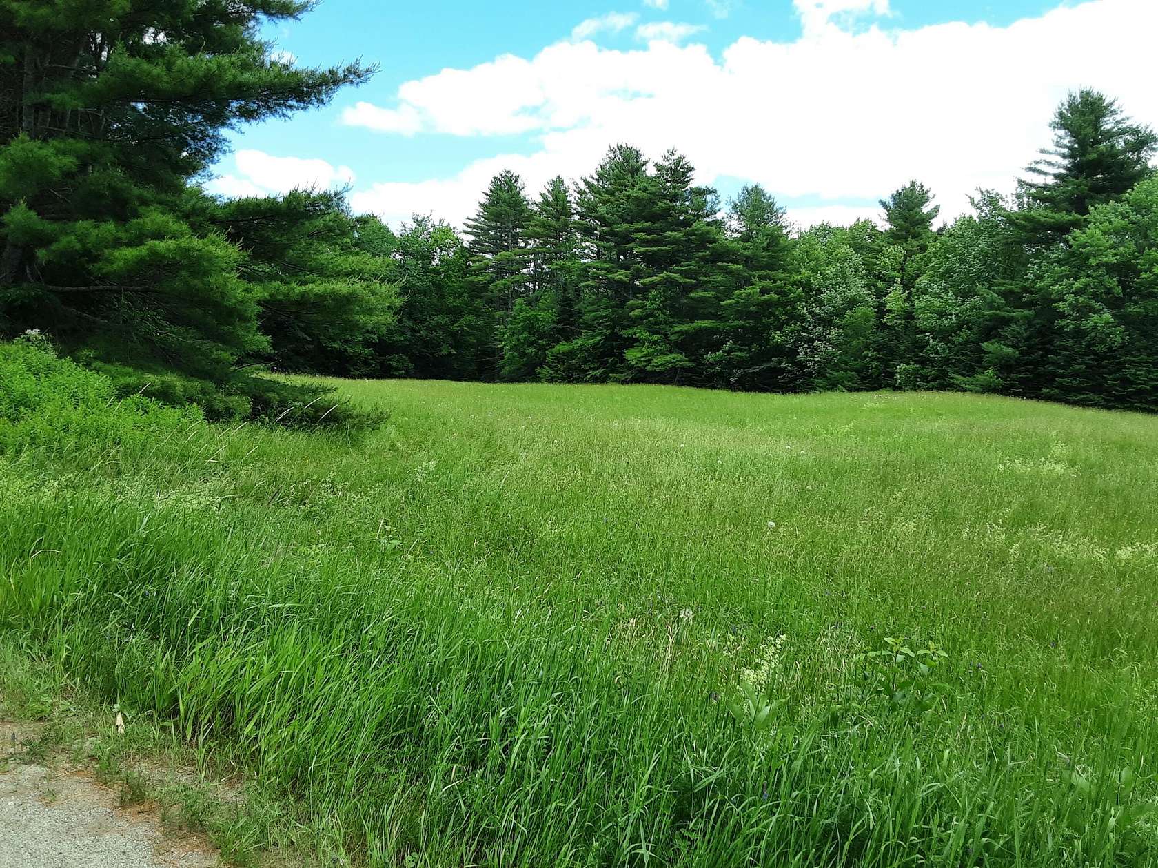 12.3 Acres of Land for Sale in Somerville, Maine