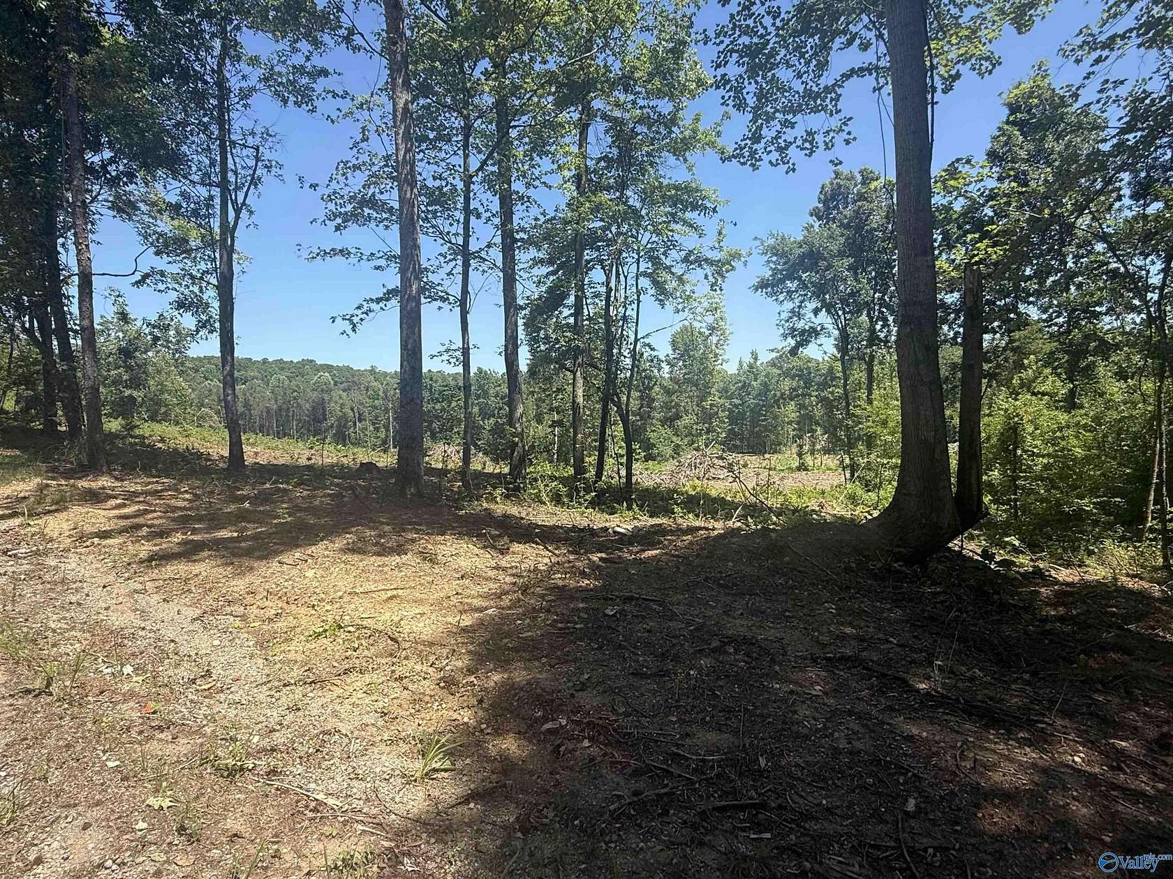 10 Acres of Land for Sale in Grant, Alabama