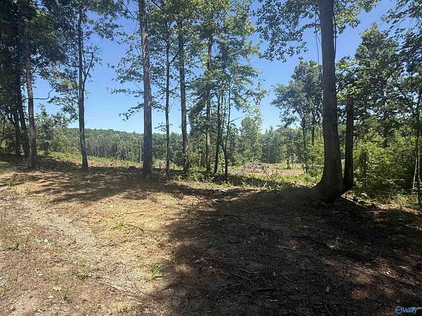 10 Acres of Land for Sale in Grant, Alabama