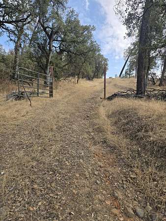 20 Acres of Land for Sale in Igo, California