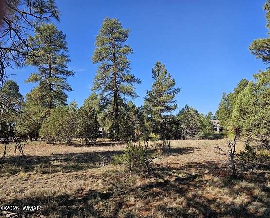 0.54 Acres of Residential Land for Sale in Overgaard, Arizona