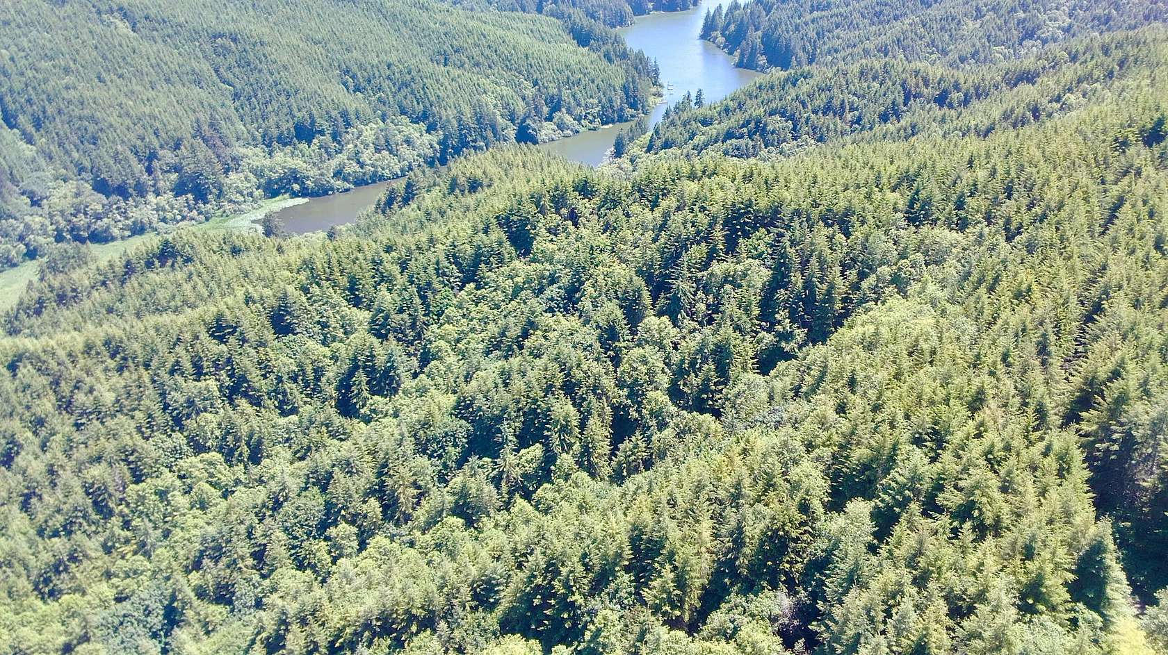 108 Acres of Recreational Land for Sale in Winchester Bay, Oregon