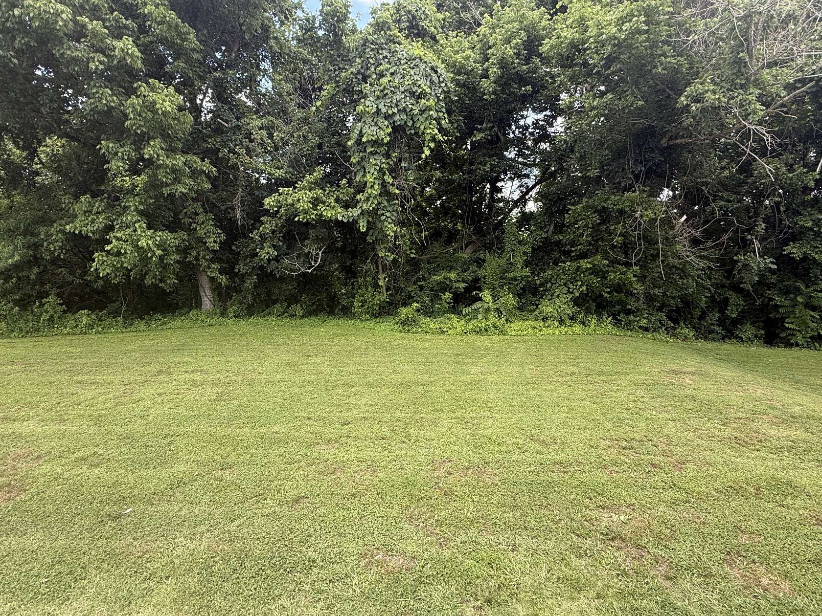 0.14 Acres of Residential Land for Sale in Pulaski, Tennessee