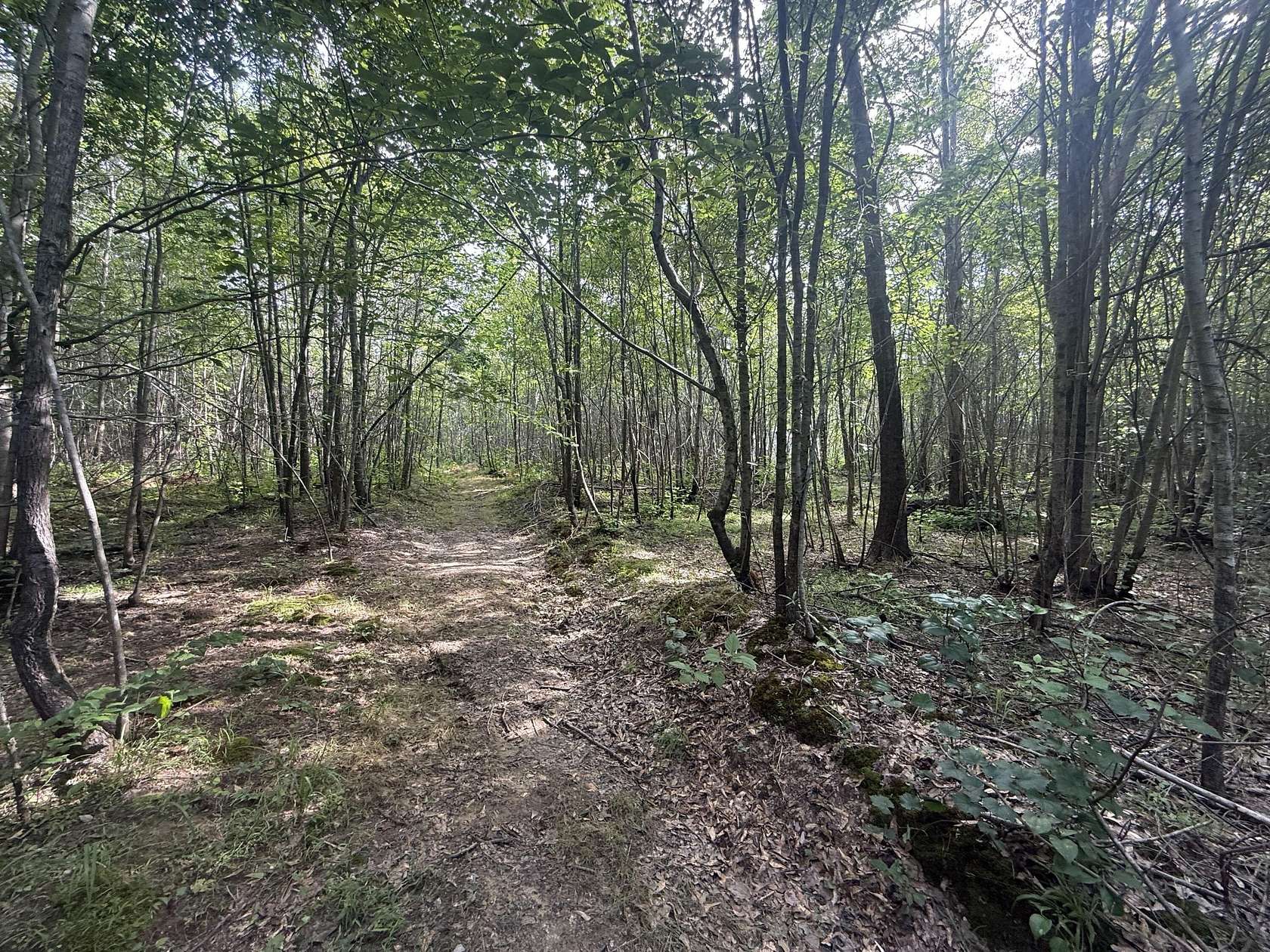 4 Acres of Residential Land for Sale in Thaxton, Mississippi