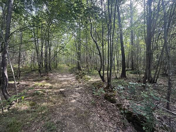4 Acres of Residential Land for Sale in Thaxton, Mississippi