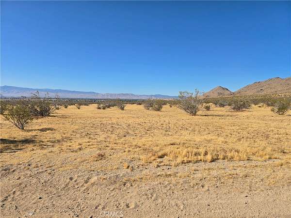 20 Acres of Land for Sale in Apple Valley, California