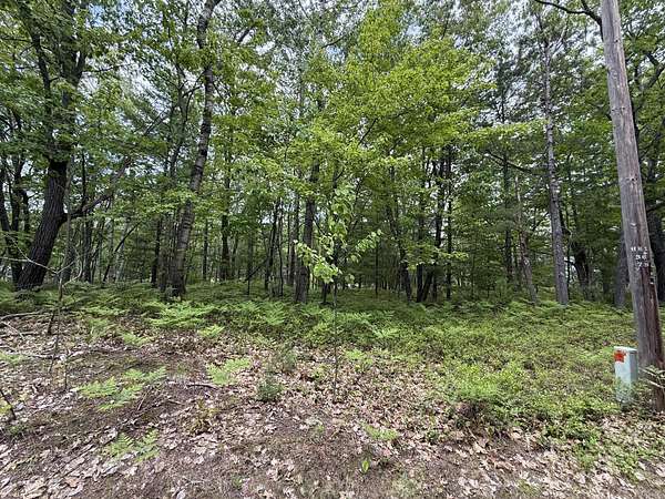 0.26 Acres of Land for Sale in Ocqueoc, Michigan
