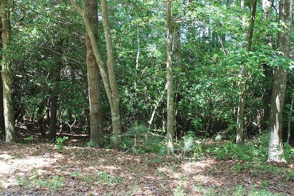 0.27 Acres of Residential Land for Sale in Greenbackville, Virginia