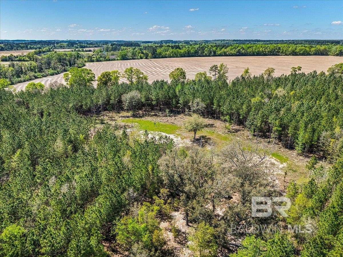 28 Acres of Land for Sale in Robertsdale, Alabama