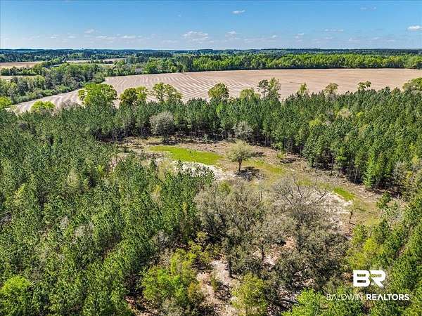 28 Acres of Land for Sale in Robertsdale, Alabama