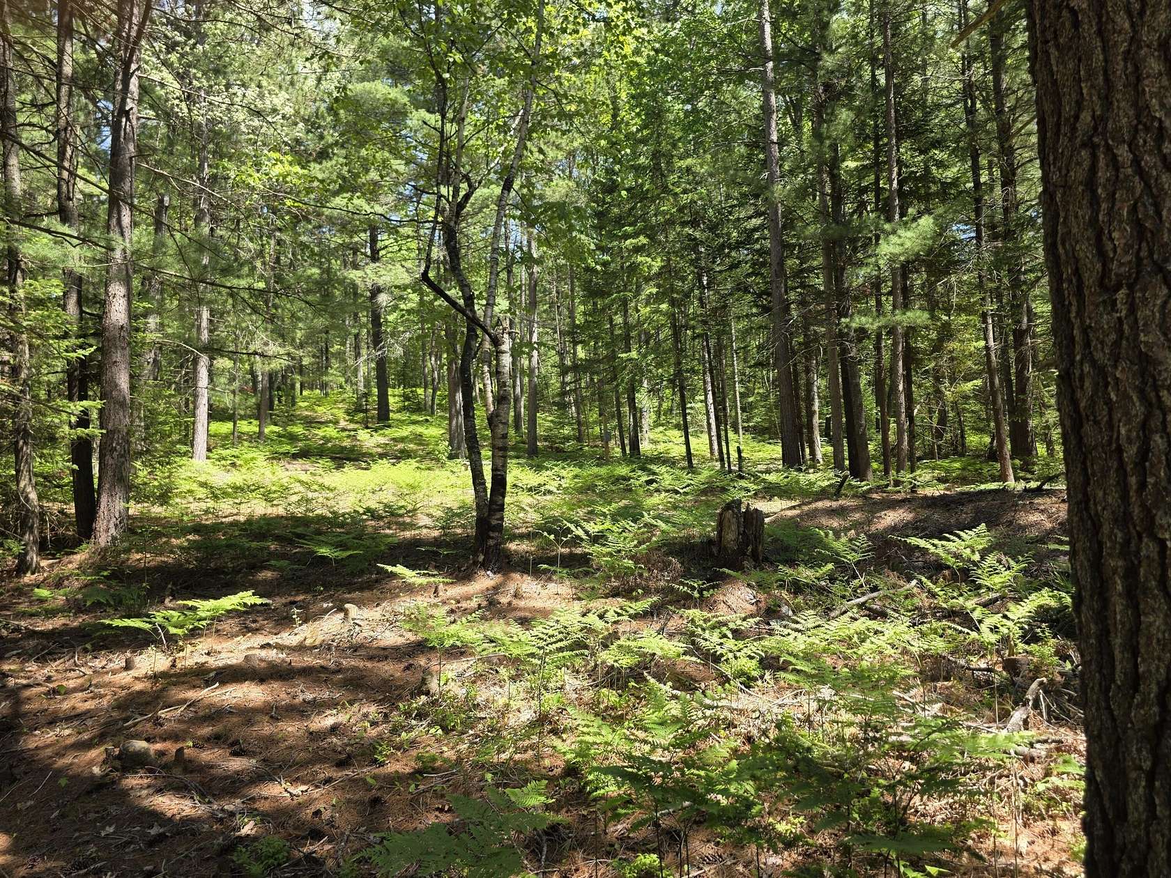 10.2 Acres of Recreational Land for Sale in Wolverine, Michigan