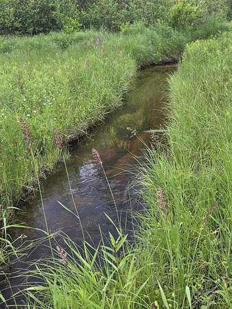 10.2 Acres of Recreational Land for Sale in Wolverine, Michigan