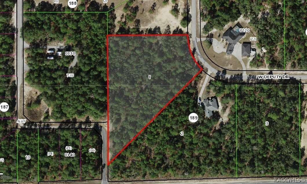 3.79 Acres of Residential Land for Sale in Beverly Hills, Florida