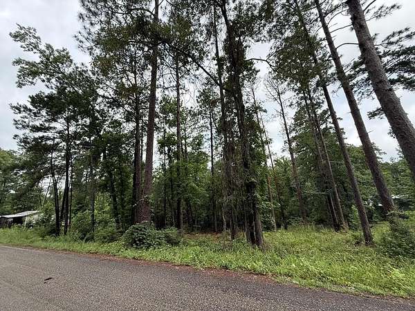 0.15 Acres of Land for Sale in Brookeland, Texas