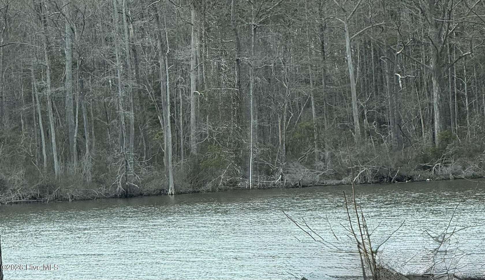 42.8 Acres of Recreational & Residential Land for Sale in Bath, North Carolina