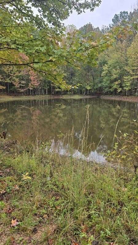 13 Acres of Recreational & Residential Land for Sale in Walnut, Mississippi