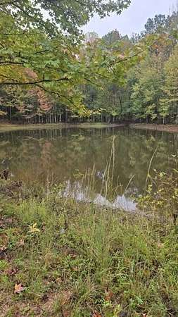 13 Acres of Recreational & Residential Land for Sale in Walnut, Mississippi