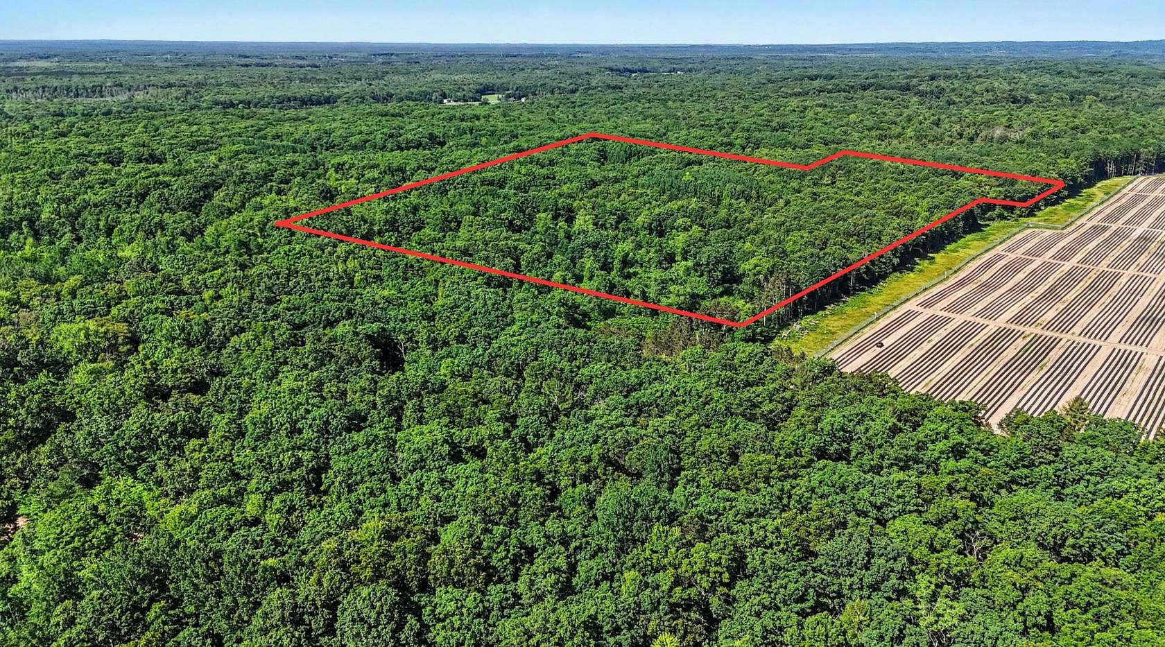 20.2 Acres of Recreational Land for Sale in Hesperia, Michigan