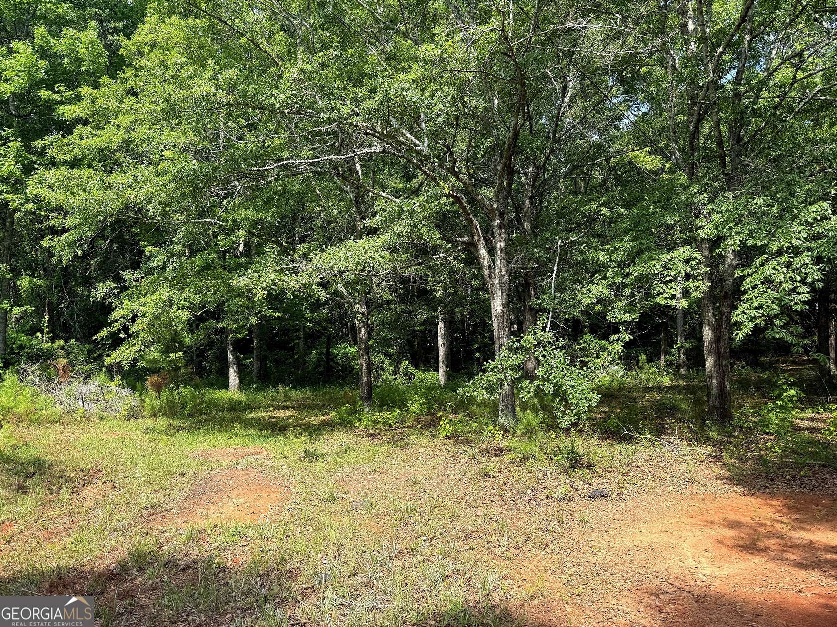 3 Acres of Land for Sale in Manchester, Georgia
