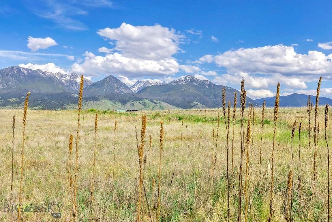 20.5 Acres of Land for Sale in Livingston, Montana