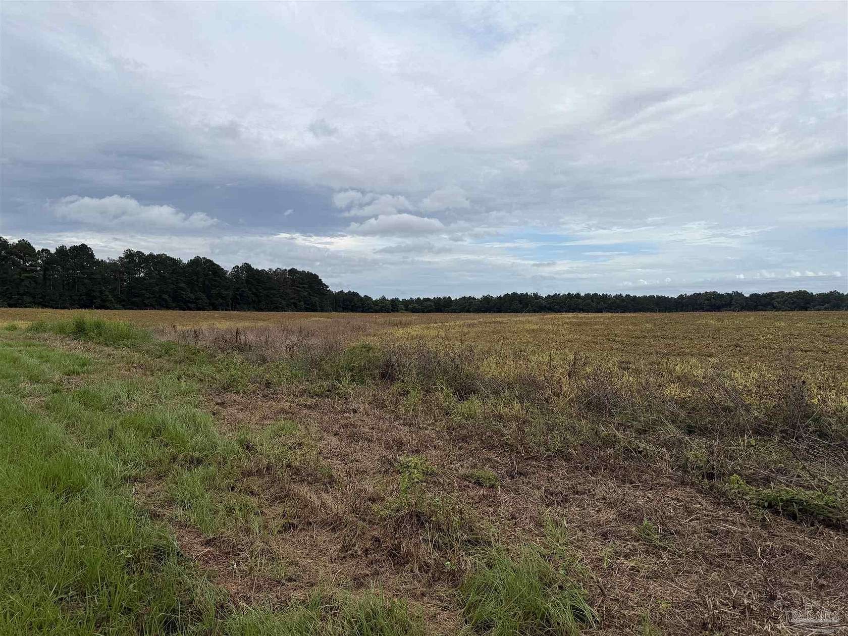 159 Acres of Land for Sale in Century, Florida