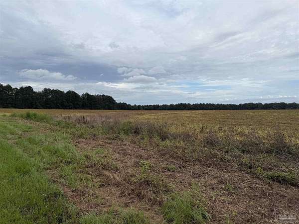 159 Acres of Land for Sale in Century, Florida
