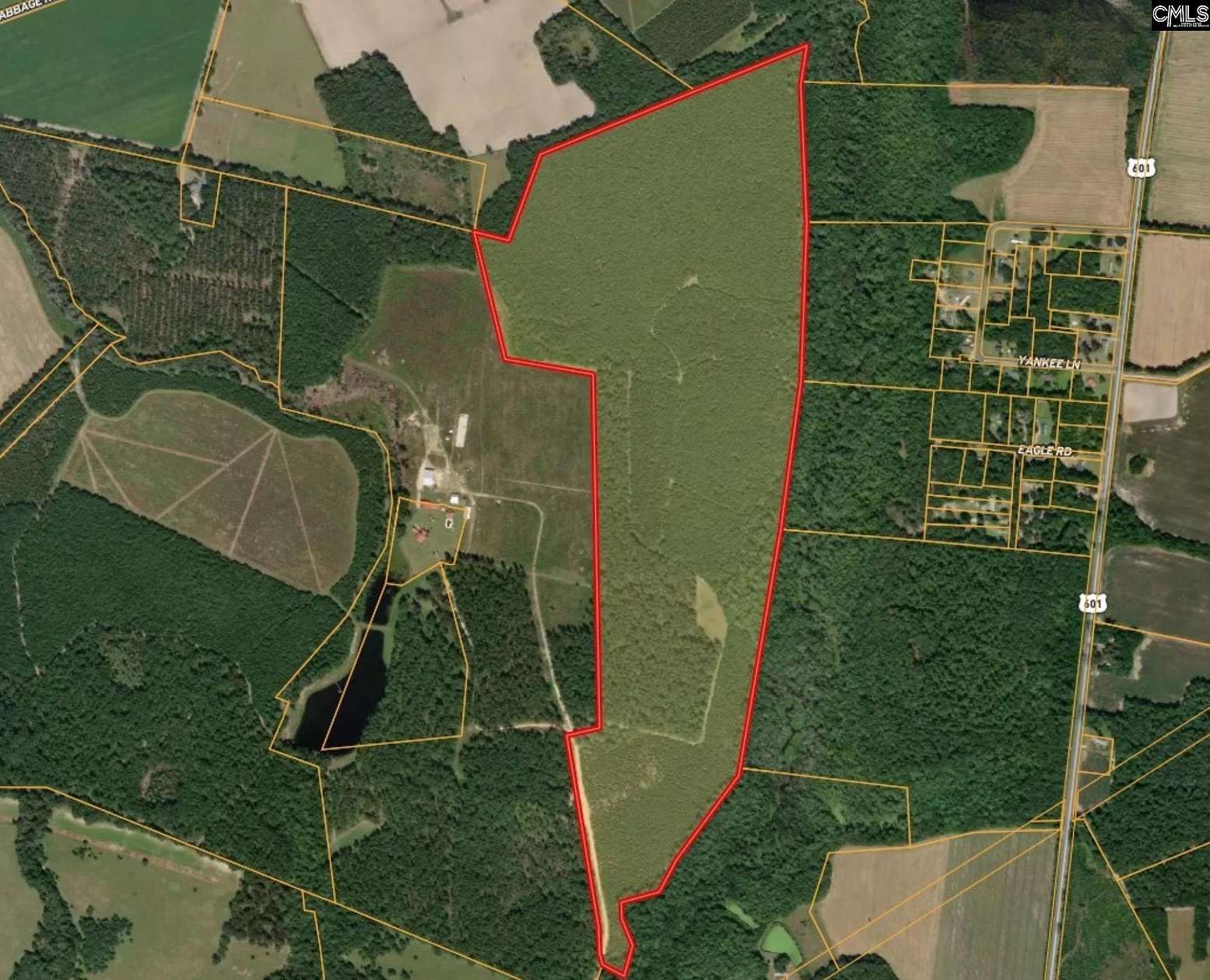 137 Acres of Recreational Land for Sale in Ehrhardt, South Carolina