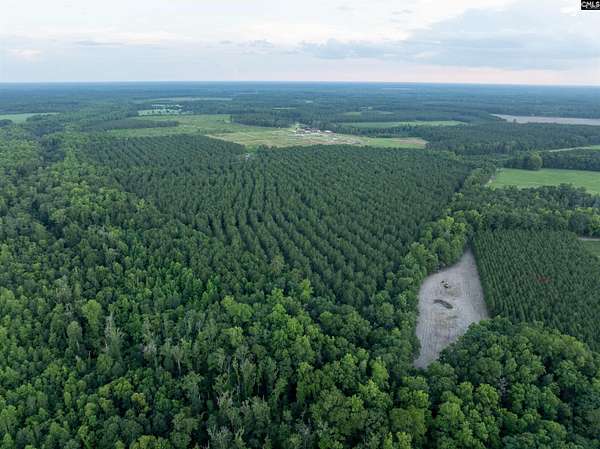 137 Acres of Recreational Land for Sale in Ehrhardt, South Carolina