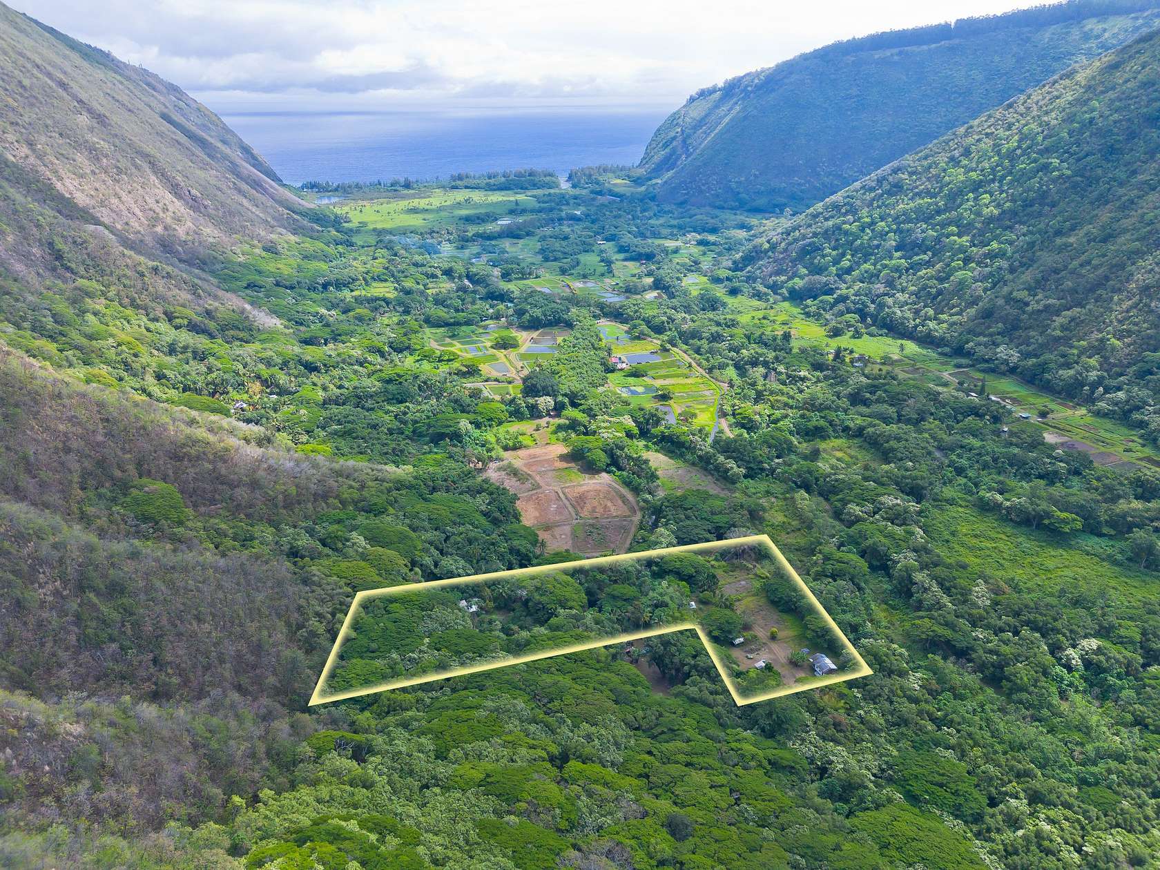 6.49 Acres of Agricultural Land for Sale in Honokaa, Hawaii