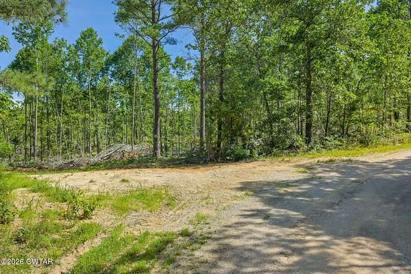 43 Acres of Recreational & Residential Land for Sale in Holladay, Tennessee