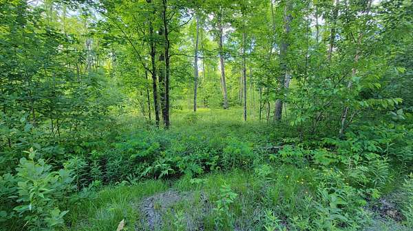 40 Acres of Recreational Land for Sale in Elcho, Wisconsin