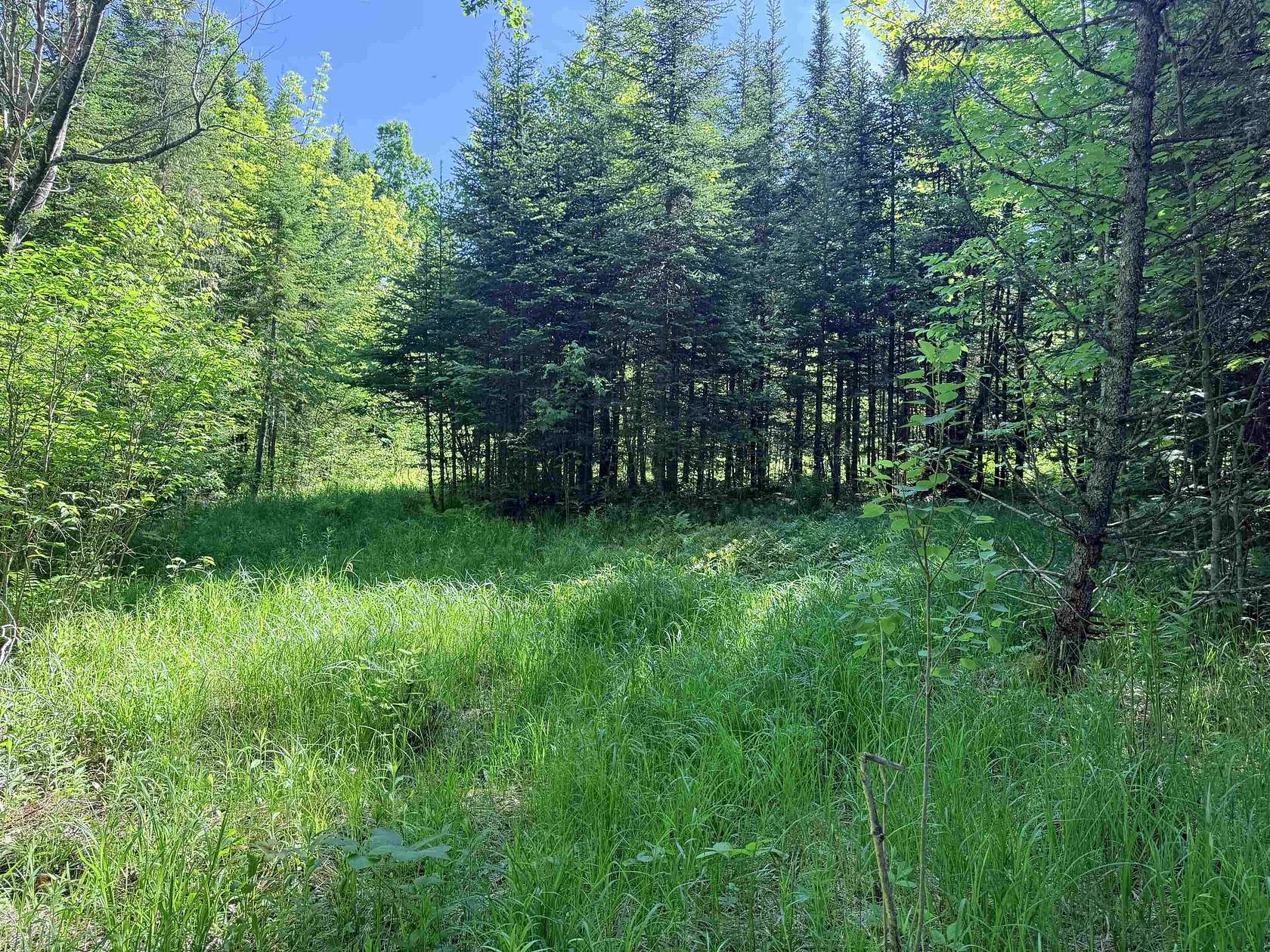 10.4 Acres of Recreational Land for Sale in Lunenburg, Vermont