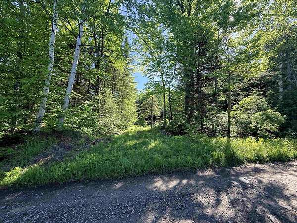 10.4 Acres of Recreational Land for Sale in Lunenburg, Vermont