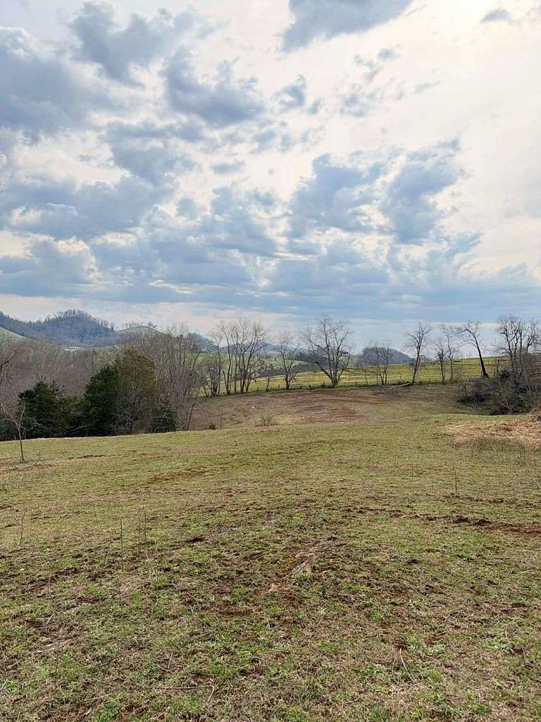 61.3 Acres of Land for Sale in Honaker, Virginia